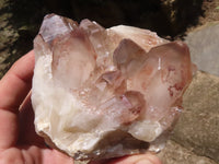 Natural Red Hematoid Quartz Specimens x 2 From Karoi, Zimbabwe - TopRock