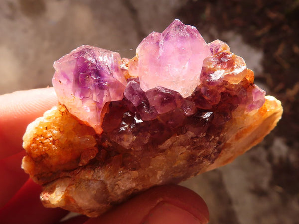 Natural Mixed Spirit Quartz Clusters x 24 From Boekenhouthoek, South Africa