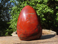 Polished Red Jasper Standing Free Forms  x 4 From Madagascar - Toprock Gemstones and Minerals 