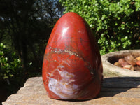 Polished Red Jasper Standing Free Forms  x 4 From Madagascar - Toprock Gemstones and Minerals 