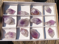 Natural Single Jacaranda Amethyst Crystals x 12 From Mumbwe, Zambia