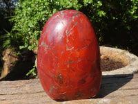 Polished Red Jasper Standing Free Forms  x 4 From Madagascar - Toprock Gemstones and Minerals 