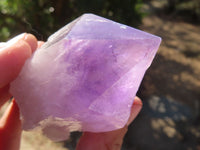 Natural Single Jacaranda Amethyst Crystals x 12 From Mumbwe, Zambia