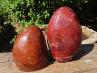 Polished Red Jasper Standing Free Forms  x 4 From Madagascar - Toprock Gemstones and Minerals 