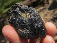 Natural Black Tourmaline Schorl Pieces  x 35 From Zambia - TopRock