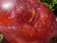 Polished Red Jasper Standing Free Forms  x 4 From Madagascar - Toprock Gemstones and Minerals 