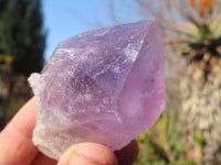 Natural Single Jacaranda Amethyst Crystals x 12 From Mumbwe, Zambia