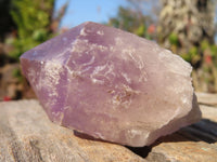 Natural Single Jacaranda Amethyst Crystals x 12 From Mumbwe, Zambia