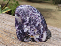 Polished Stunning Purple Lepidolite Standing Free Forms x 3 From Zimbabwe - TopRock