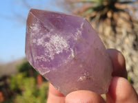 Natural Single Jacaranda Amethyst Crystals x 12 From Mumbwe, Zambia