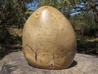 Polished Septerye Sauvage "Dragons Egg" Standing Free Form  x 1 From Mahajanga, Madagascar - TopRock