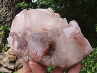 Natural Red Hematoid Quartz Specimens x 2 From Karoi, Zimbabwe - TopRock