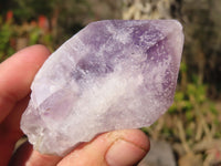 Natural Single Jacaranda Amethyst Crystals x 12 From Mumbwe, Zambia