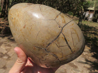 Polished Septerye Sauvage "Dragons Egg" Standing Free Form  x 1 From Mahajanga, Madagascar - TopRock