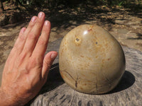 Polished Septerye Sauvage "Dragons Egg" Standing Free Form  x 1 From Mahajanga, Madagascar - TopRock