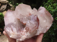 Natural Red Hematoid Quartz Specimens x 2 From Karoi, Zimbabwe - TopRock