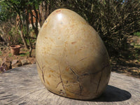 Polished Septerye Sauvage "Dragons Egg" Standing Free Form  x 1 From Mahajanga, Madagascar - TopRock