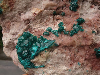 Natural Extra Large Classic Dioptase Specimen With Deep Emerald Crystals x 1 From Congo - TopRock