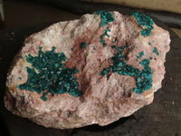 Natural Extra Large Classic Dioptase Specimen With Deep Emerald Crystals x 1 From Congo - TopRock