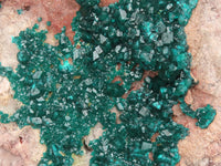 Natural Extra Large Classic Dioptase Specimen With Deep Emerald Crystals x 1 From Congo - TopRock