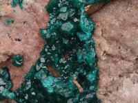 Natural Extra Large Classic Dioptase Specimen With Deep Emerald Crystals x 1 From Congo - TopRock