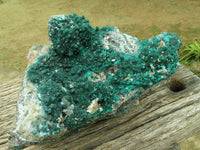 Natural Spectacular Museum Dioptase Specimen  x 1 From Congo - TopRock