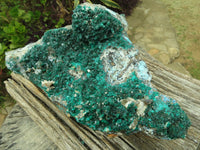 Natural Spectacular Museum Dioptase Specimen  x 1 From Congo - TopRock