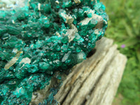 Natural Spectacular Museum Dioptase Specimen  x 1 From Congo - TopRock