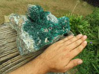 Natural Spectacular Museum Dioptase Specimen  x 1 From Congo - TopRock