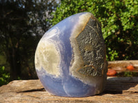 Polished Blue Lace Agate Standing Free Forms  x 2 From Nsanje, Malawi - Toprock Gemstones and Minerals 