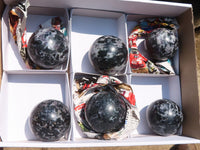 Polished Merlinite Gabbro Spheres  x 6 From Madagascar - Toprock Gemstones and Minerals 