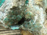 Natural Spectacular Museum Dioptase Specimen  x 1 From Congo - TopRock