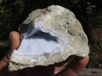 Natural Blue Lace Agate Geode Specimens  x 24 From Nsanje, Malawi - TopRock