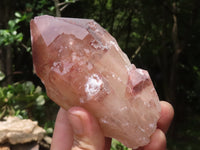 Natural Red Hematoid Quartz Specimens x 3 From Karoi, Zimbabwe - TopRock