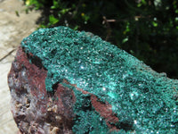 Natural Malachite Super Sparkling Crystal Plates x 2 From Tenke Fungurume, Congo - TopRock