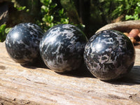 Polished Merlinite Gabbro Spheres  x 6 From Madagascar - Toprock Gemstones and Minerals 