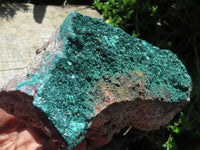 Natural Malachite Super Sparkling Crystal Plates x 2 From Tenke Fungurume, Congo - TopRock