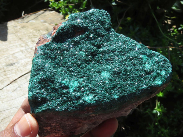 Natural Malachite Super Sparkling Crystal Plates x 2 From Tenke Fungurume, Congo - TopRock