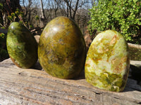 Polished Green Opal Standing Free Forms  x 3 From Madagascar