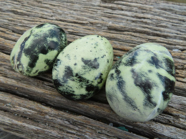 Polished Leopard (Serpentine) Stone Gallets x 12 From Nyanga & Shamva, Zimbabwe - TopRock