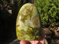 Polished Green Opal Standing Free Forms  x 3 From Madagascar