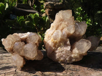 Natural Cascading White Phantom Smokey Quartz Clusters  x 2 From Luena, Congo - Toprock Gemstones and Minerals 