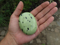 Polished Leopard (Serpentine) Stone Gallets x 12 From Nyanga & Shamva, Zimbabwe - TopRock