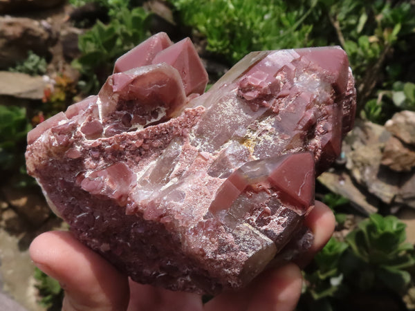 Natural Red Hematoid Quartz Specimens x 3 From Karoi, Zimbabwe - TopRock