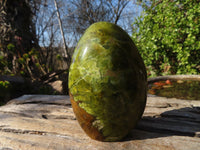 Polished Green Opal Standing Free Forms  x 3 From Madagascar