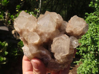 Natural Cascading White Phantom Smokey Quartz Clusters  x 2 From Luena, Congo - Toprock Gemstones and Minerals 