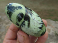 Polished Leopard (Serpentine) Stone Gallets x 12 From Nyanga & Shamva, Zimbabwe - TopRock