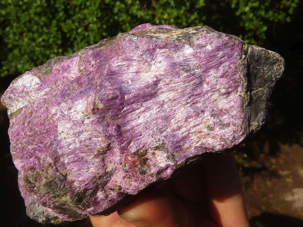 Natural Rough Stichtite & Serpentine Specimens  x 6 From Barberton, South Africa - Toprock Gemstones and Minerals 