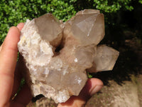 Natural Cascading White Phantom Smokey Quartz Clusters  x 2 From Luena, Congo - Toprock Gemstones and Minerals 