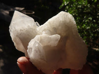 Natural Candle Quartz Crystal Clusters  x 6 From Madagascar